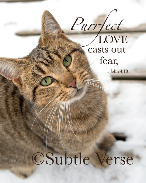 Purrfect Love Cat- Prints