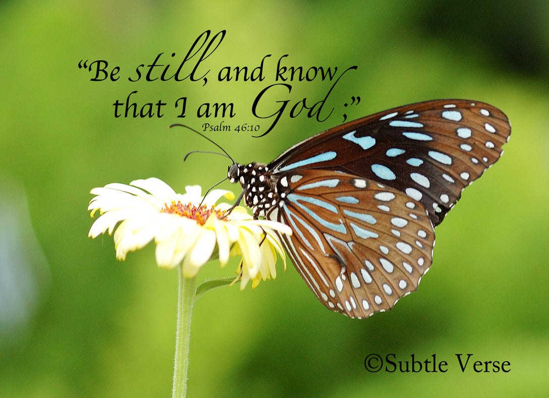 Be Still Butterfly - Canvas Framed in Barn Wood – Subtle Verse